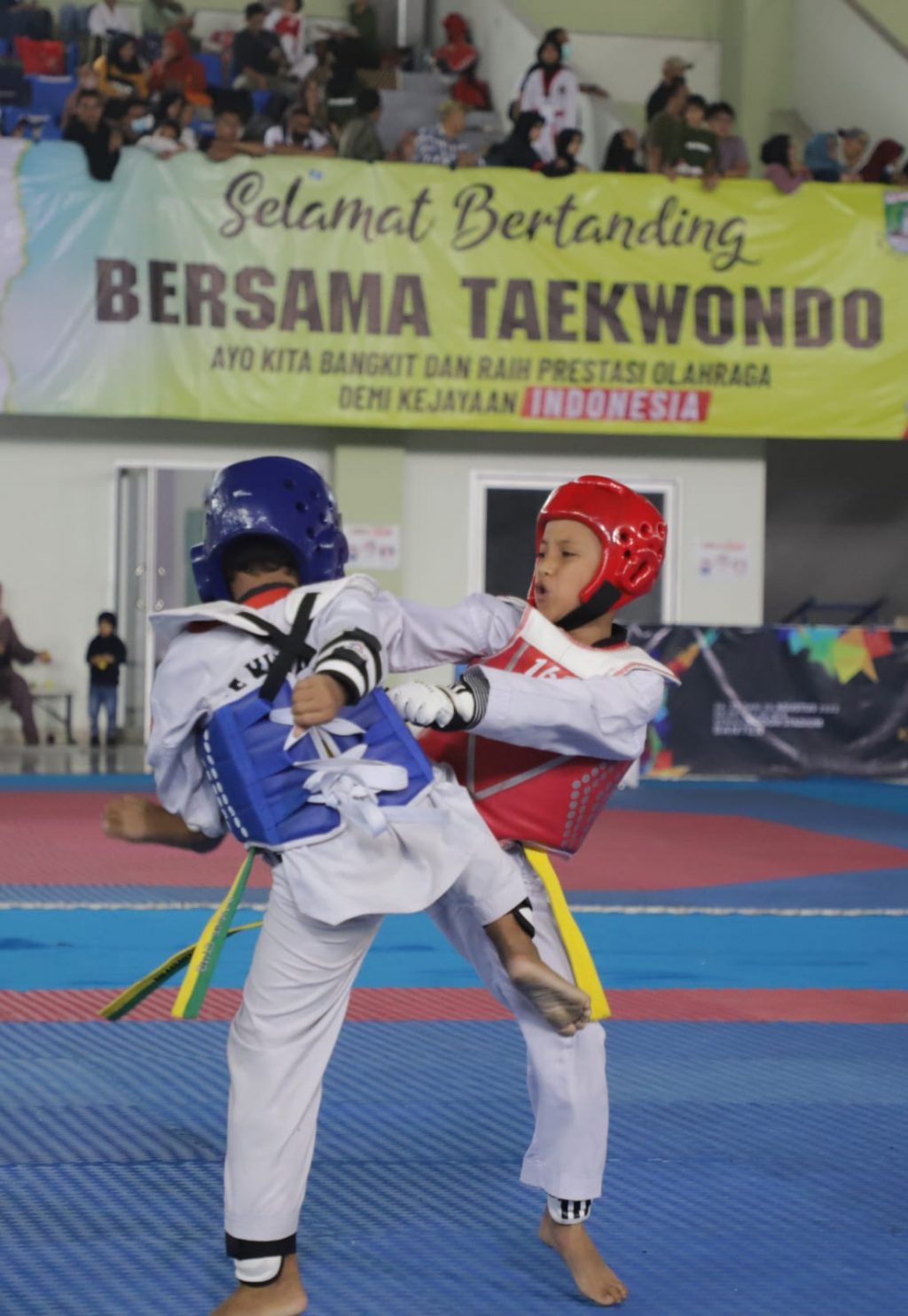 Atlet SNTC Raih 23 Medali pada Koni Cup Series III
