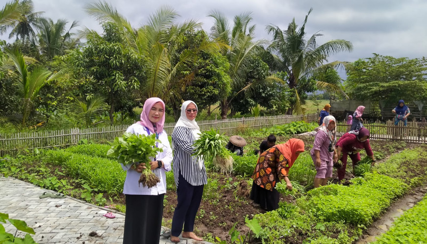 KWT Pakuhaji Tangerang Panen Perdana