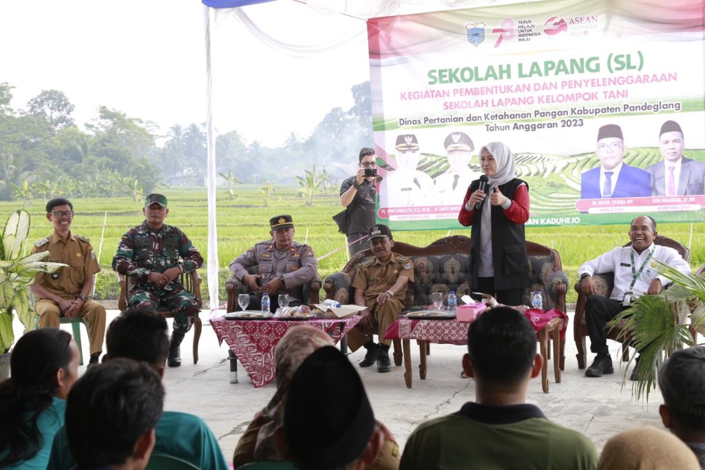 Sekolah Lapang di Pandeglang Gali Potensi Pertanian dan Peningkatan Kualitas SDM Petani