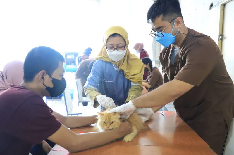 Meriahkan HUT Ke-31 Kota Tangerang, DKP Gelar Vaksinasi Hewan Gratis di 13 Kecamatan